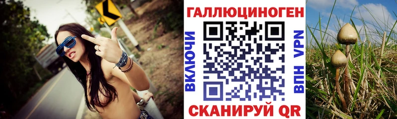 ссылка на мегу tor  Егорьевск  Псилоцибиновые грибы Psilocybine cubensis 