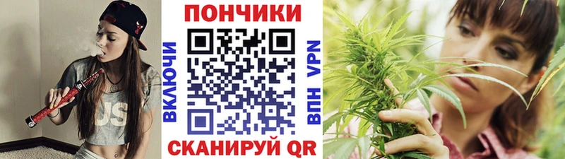 Бошки Шишки конопля  Егорьевск 